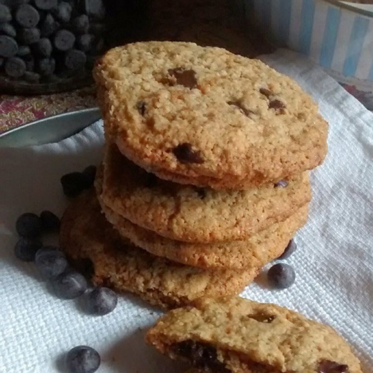 Cookies Veganos de Coco com Aveia e Melado Sem Glúten